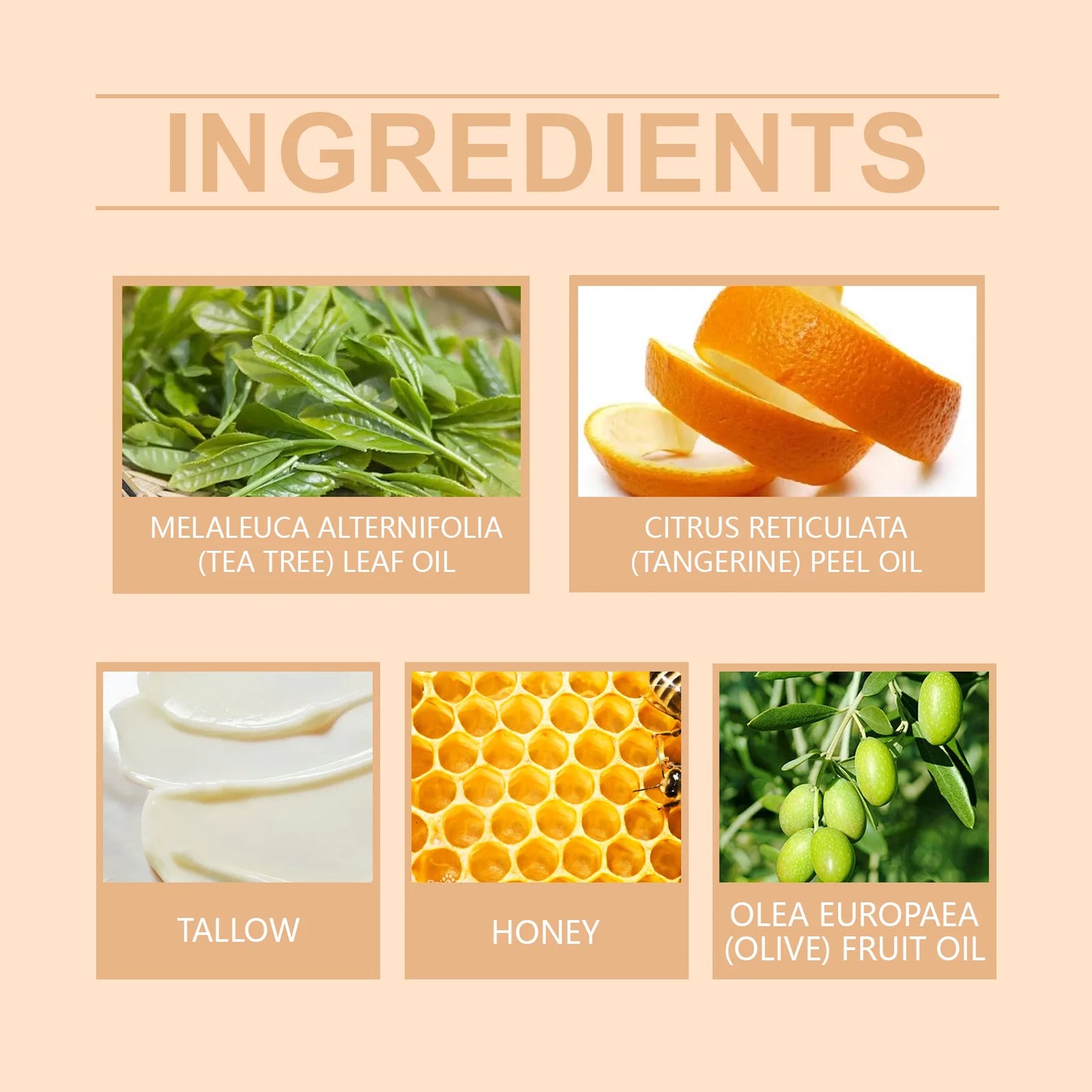 GLAMORA™ Tallow & Honey Cream – Deep Hydration Skin Moisturiser